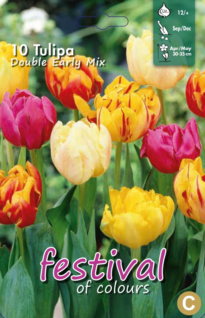 Tulipes doubles hâtive en mélange