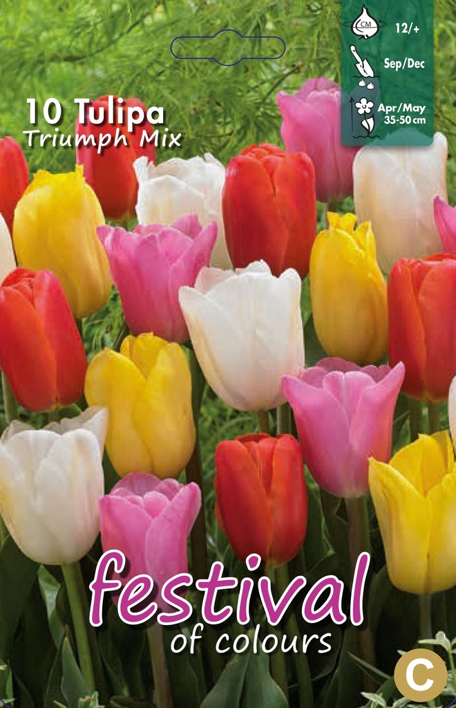Tulipes 'Triomphe' en mélange