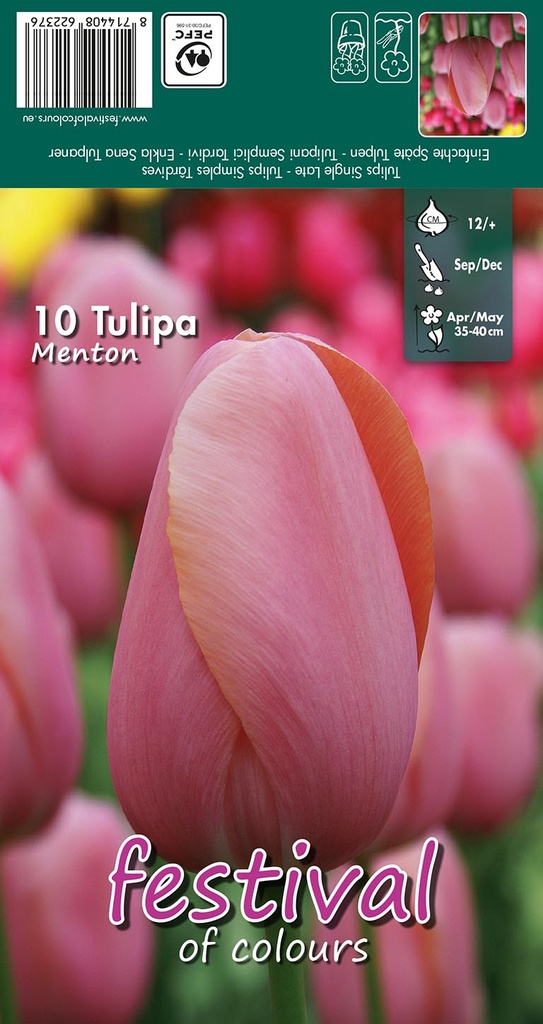 Tulipes 'Menton'