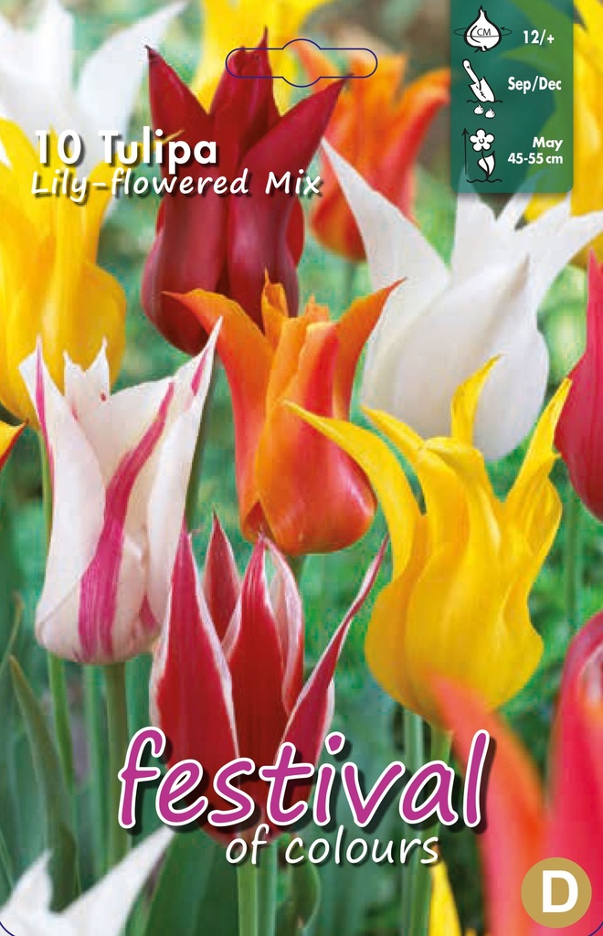 Tulipes fleurs de Lys en mélange