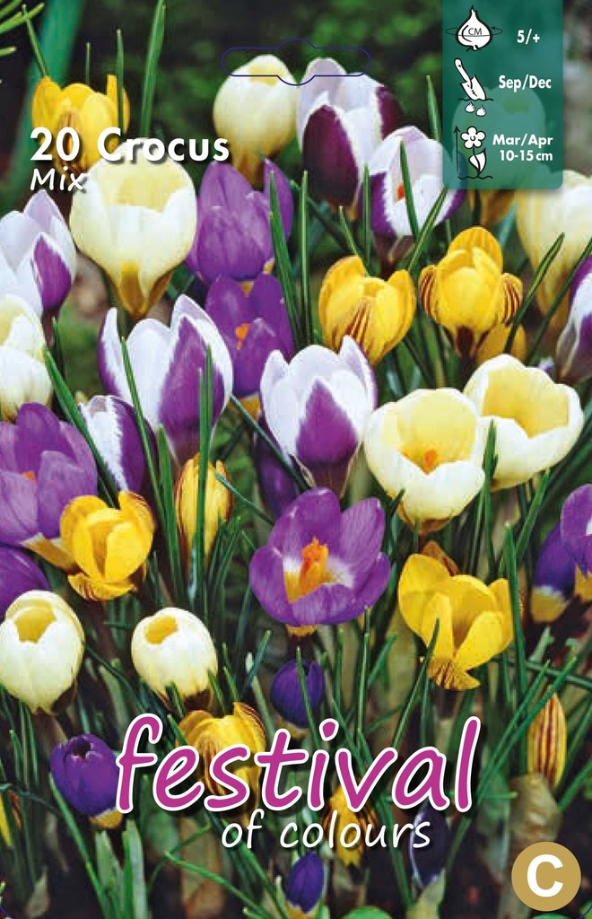 Crocus Botanique en mélange