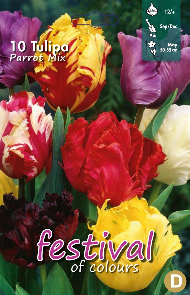 Tulipes perroquet en mélange