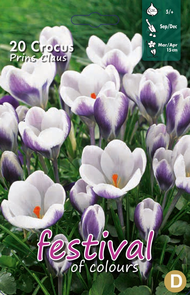 Crocus 'Prins Claus'