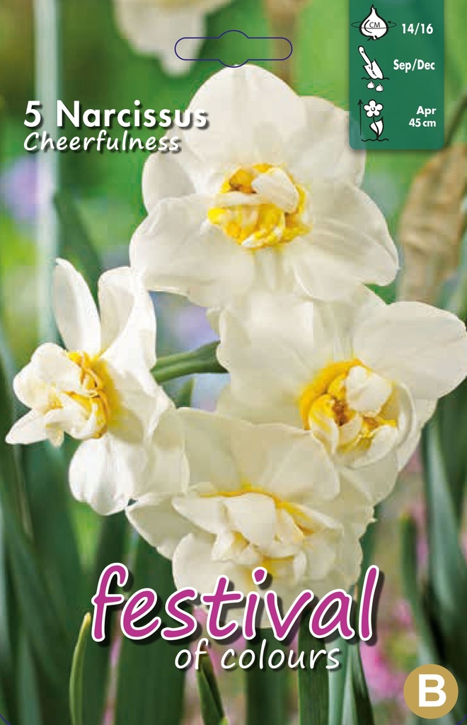 Narcissus 'Cheerfulness'