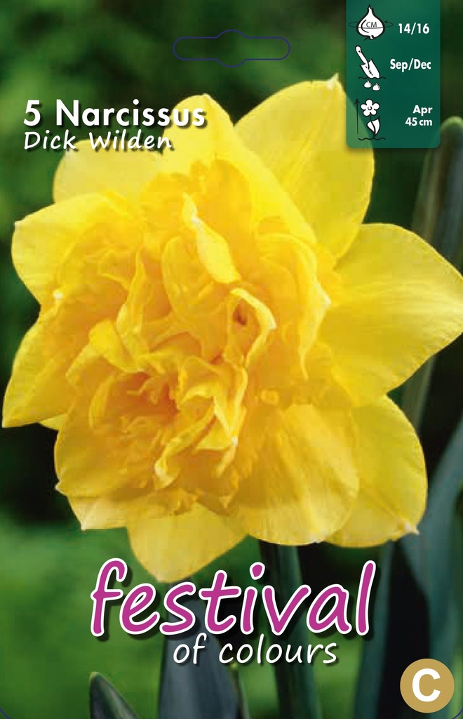 Narcissus 'Dick Wilden'