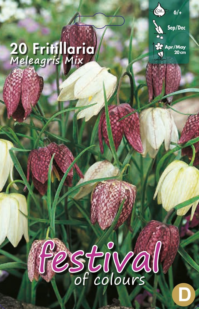 Fritillaria meleagris
