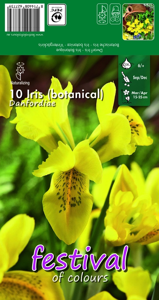 Iris danfordiae