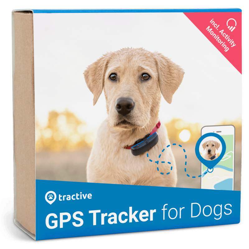 Traqueur GPS Tractive chien