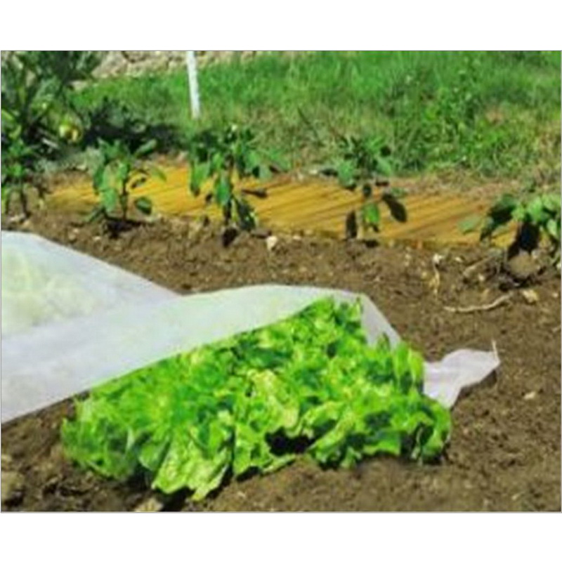 CLIMATEX Voile de croissance P17