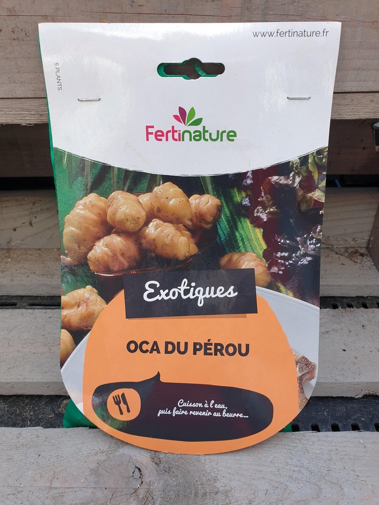 OCA DU PEROU 5PL