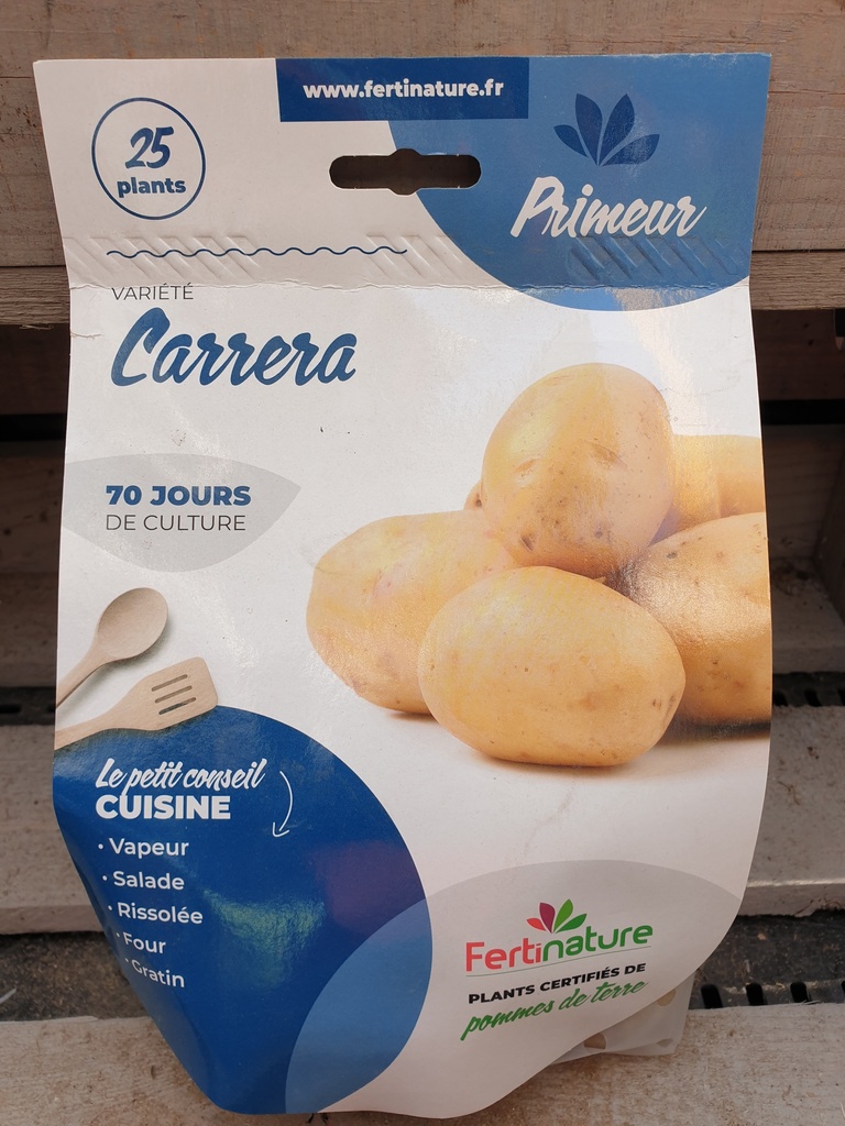 CARRERA  F/H  28/35 25PL
