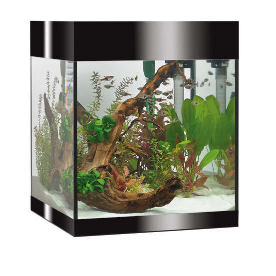 Aquarium Askoll Pure M noir