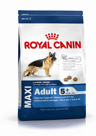 Maxi Adult 5+ 15 kg