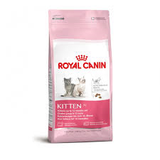 Kitten 2 kg