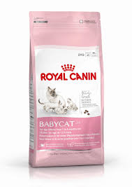 Mother & Babycat 2 kg