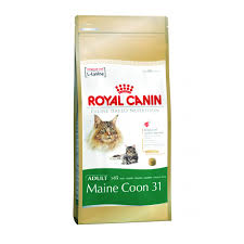 Maine Coon 2 kg