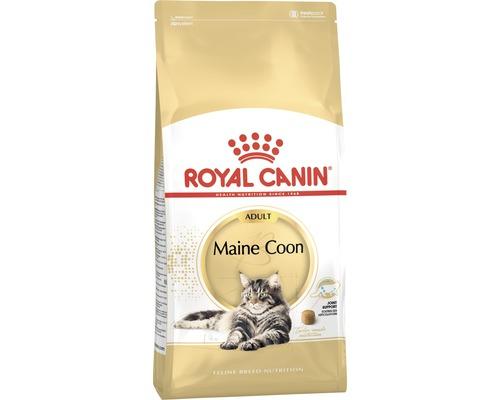 Maine Coon 10 kg