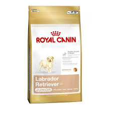 Labrador Junior 12 kg