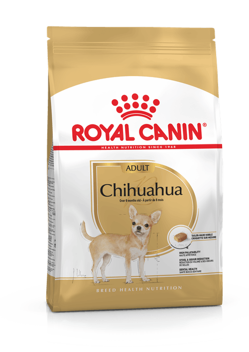 Chihuahua 1.5 kg