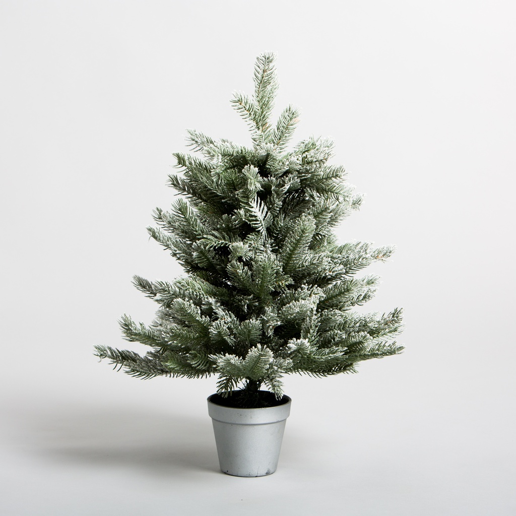 Sapin de Noël Evolène enneigé