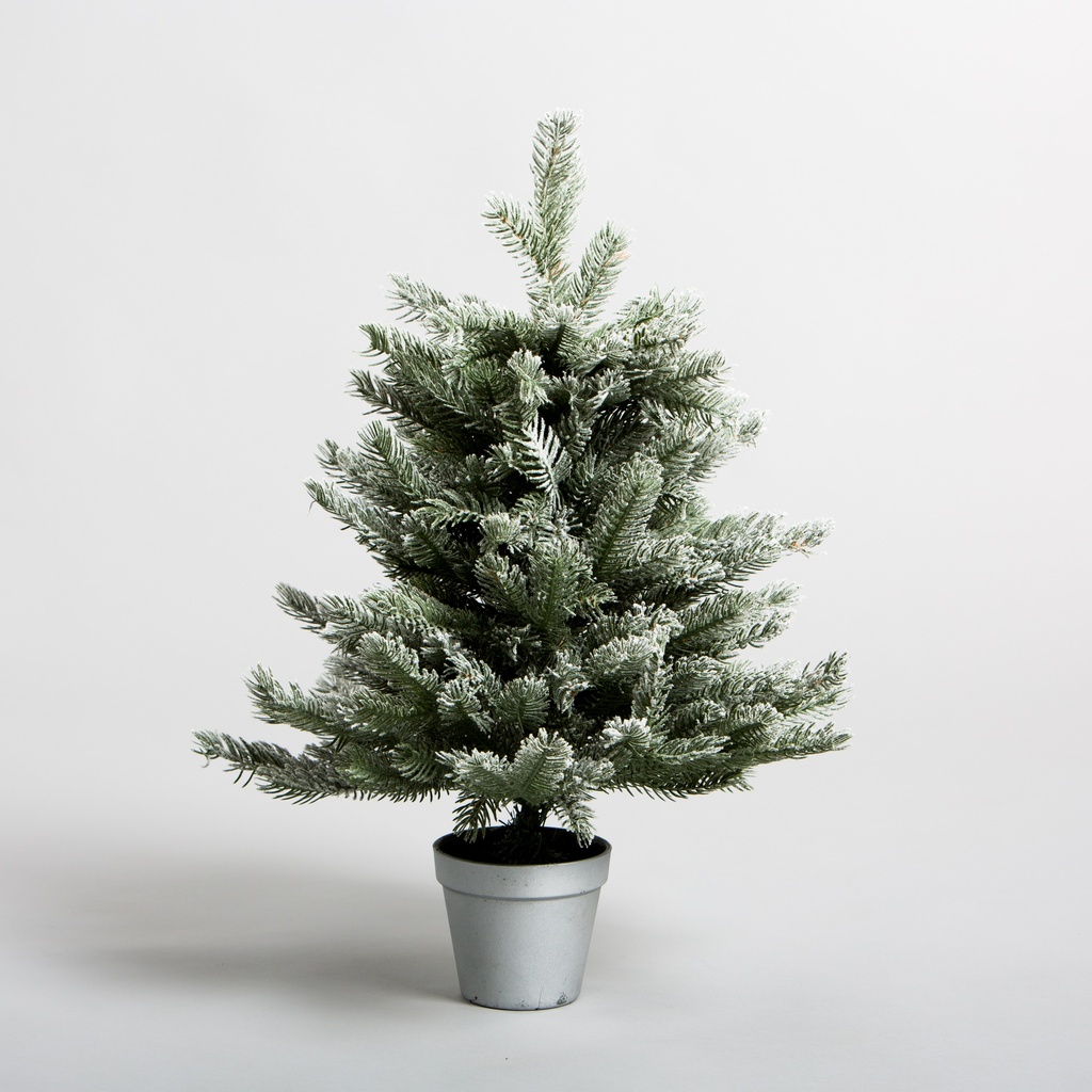 Sapin de Noël Evolène enneigé