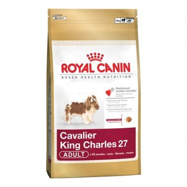 Cavalier King Charles 1.5 kg