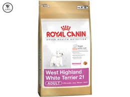 Westie 1.5 kg
