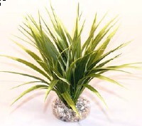 Décoration aquarium OASIS