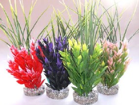 Décoration aquarium RUSCUS LARGE