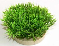 Décoration aquarium GREEN MOSS