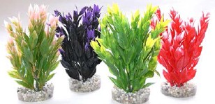 Décoration aquarium FIESTA RUSCUS