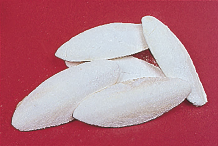 Os de seiche 1kg SEPIA