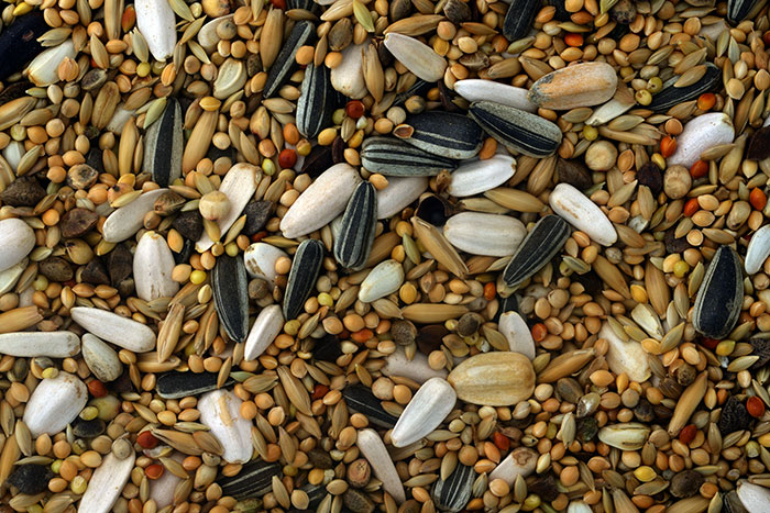 Mél. p. grandes perruches 5 kg GRO