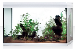 Aquarium Askoll Pure HC XL Blanc
