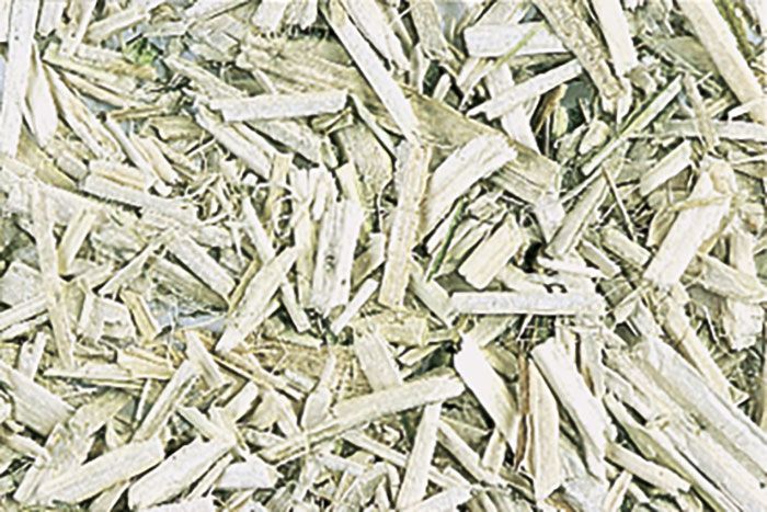 Chenevotte Canatura 20 kg CAN