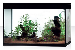 Aquarium Askoll Pure HC XL Noir