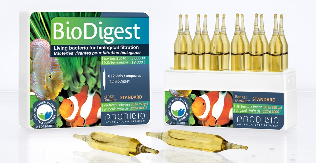 BioDigest 12 ampoules