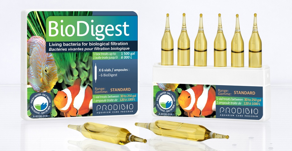 BioDigest 6 ampoules