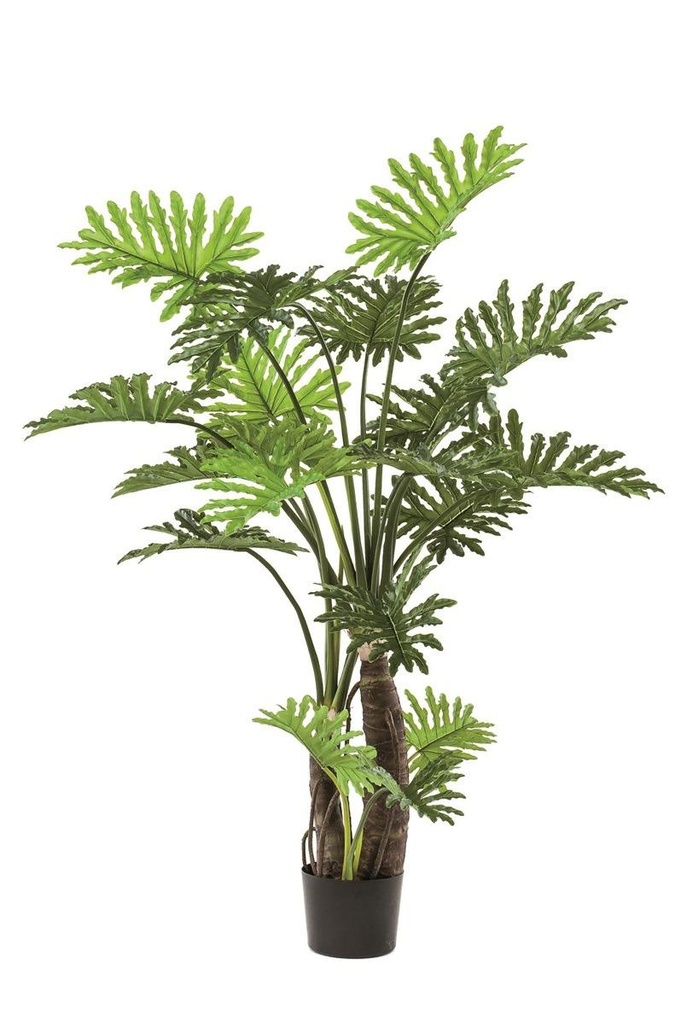 Philodendron selloum artificiel