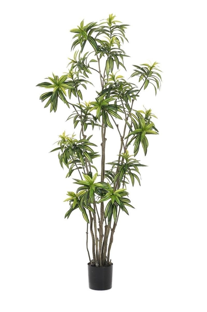 Dracaena artificiel