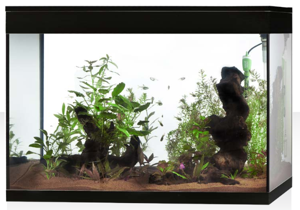 Aquarium Askoll Pure XL Noir