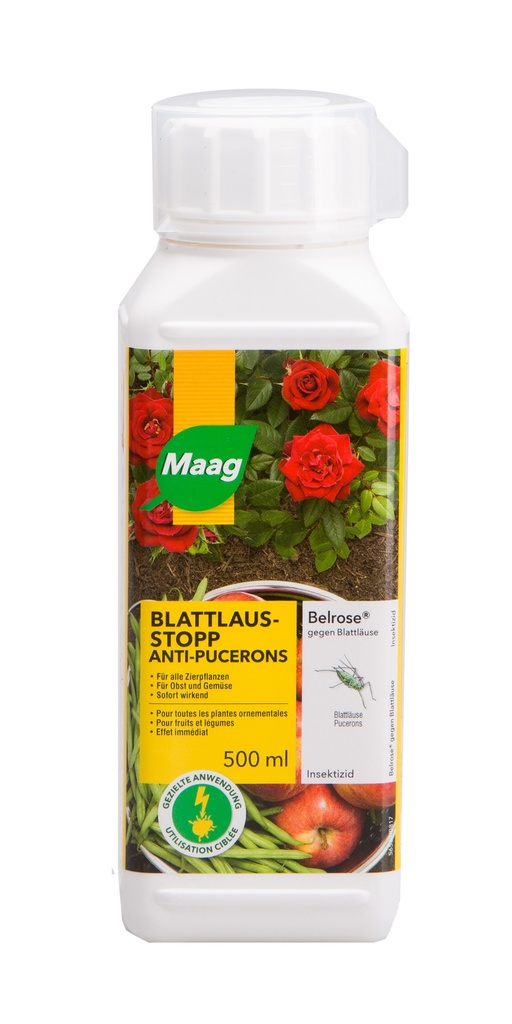 Belrose contre les pucerons