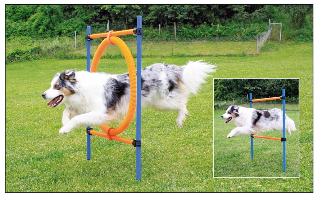 Anneau de saut d'agility 2en1