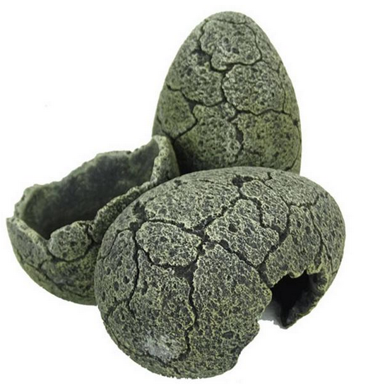 Décor oeufs de dinosaures L