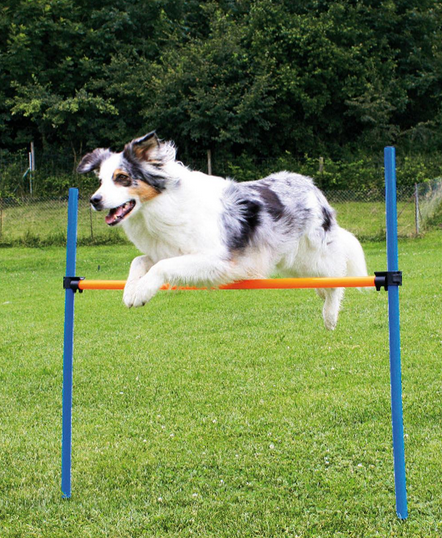 Set de haies d agility