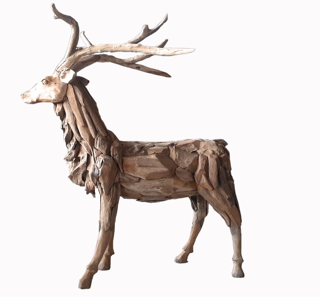 Cerf Teack Asiastyle