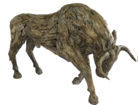 Taureau Teack Asiastyle