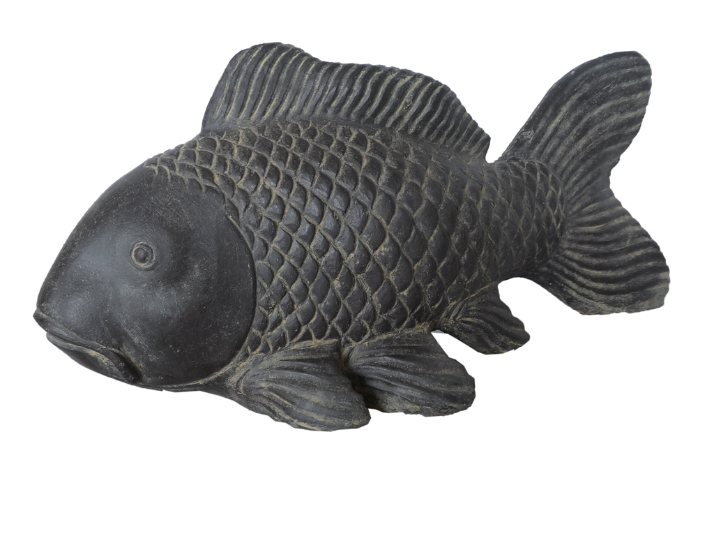 Carpe Koi Asiastyle