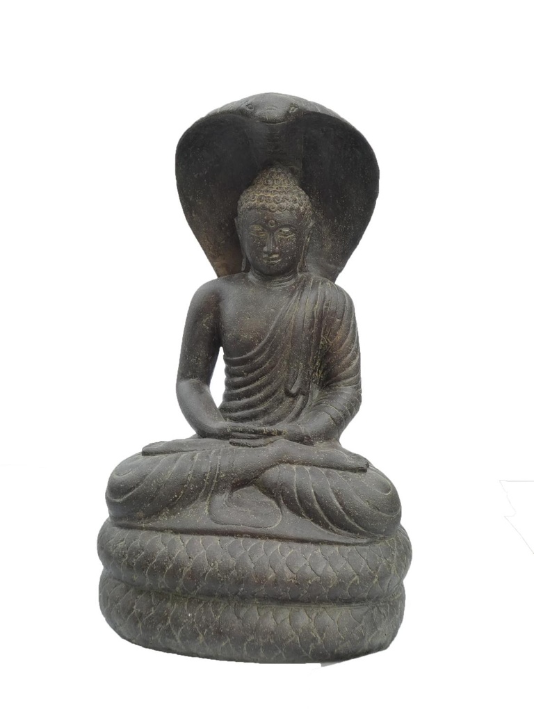 Bouddha protégé par cobra