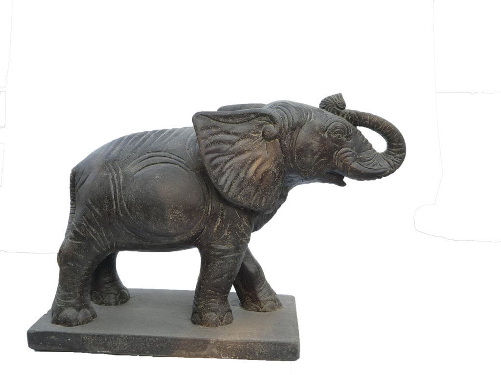 Elephant sur base
